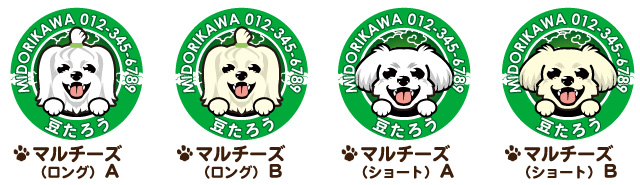 迷子札 マルチーズ