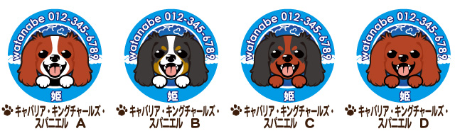 迷子札 キャバリア