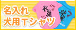̾���츤T�Хʡ�