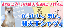 T�����