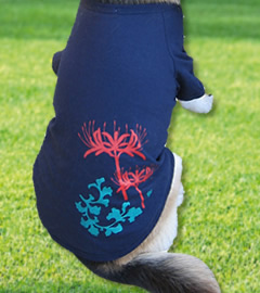 彼岸花(犬Tシャツ)