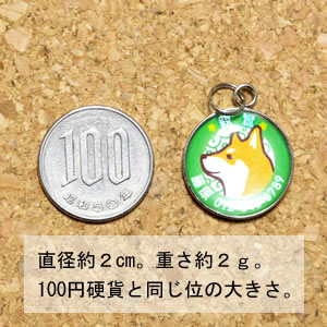 �¤󤳤դ����礭�����