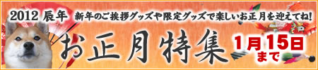 お正月特集
