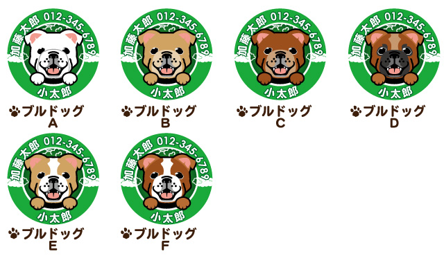 迷子札　シーズー