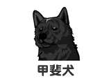 甲斐犬