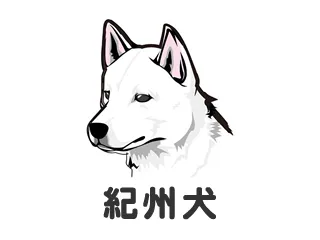 紀州犬