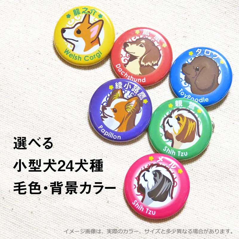 オーダー ページ シーズー缶バッジ オーダー ページ シーズー缶バッジ