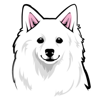 日本スピッツのイラスト