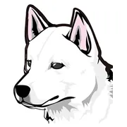 紀州犬 グッズ 一覧