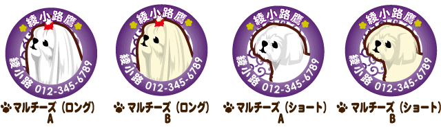 迷子札 マルチーズ