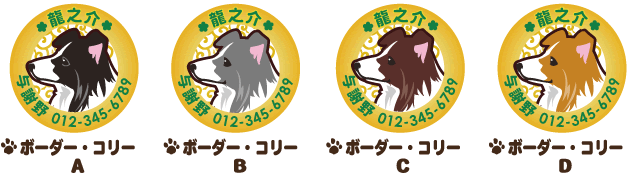 迷子札　ボーダーコリー