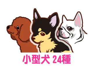 小型犬24種