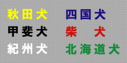 シンプル漢字ゴシック横