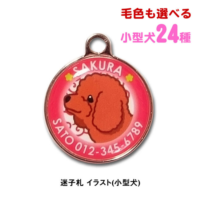 迷子札 小型犬イラスト
