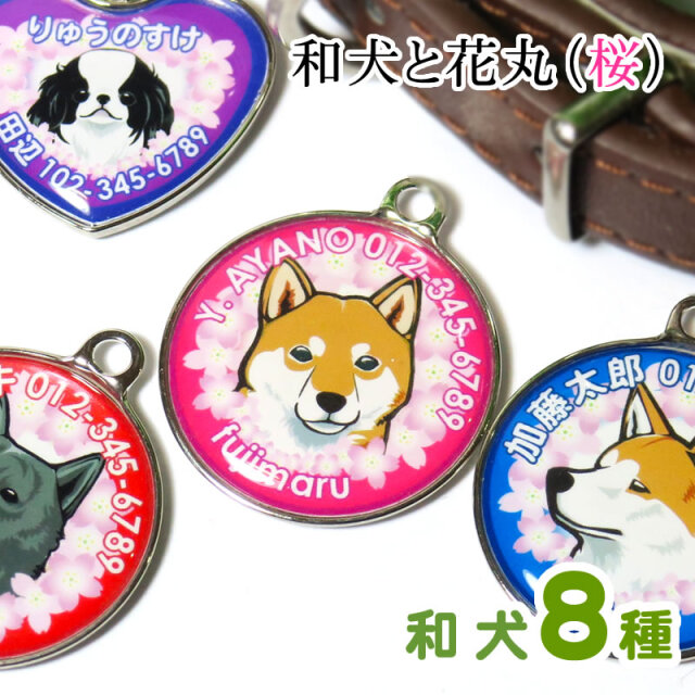 迷子札 和犬と花丸(桜)