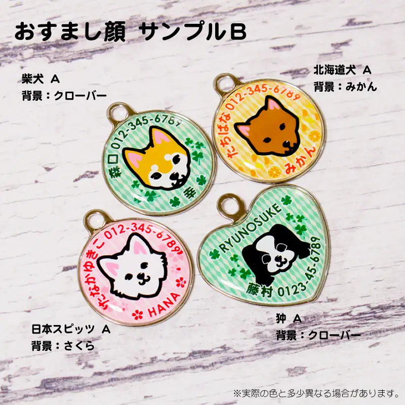 柴犬 北海道犬 狆 日本スピッツ