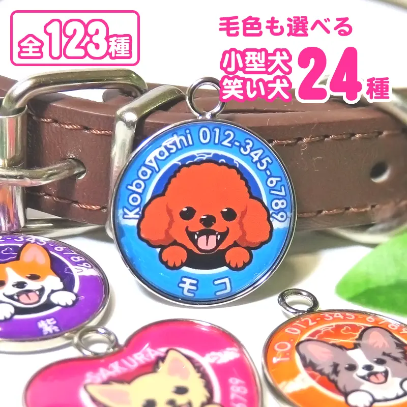迷子札 笑い犬(小型犬24犬種)