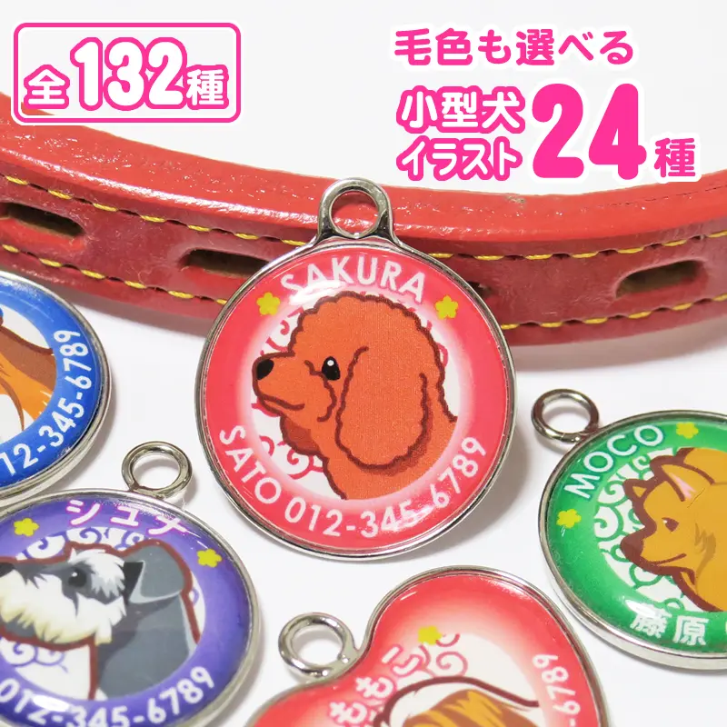 迷子札 小型犬イラスト（小型犬24犬種）