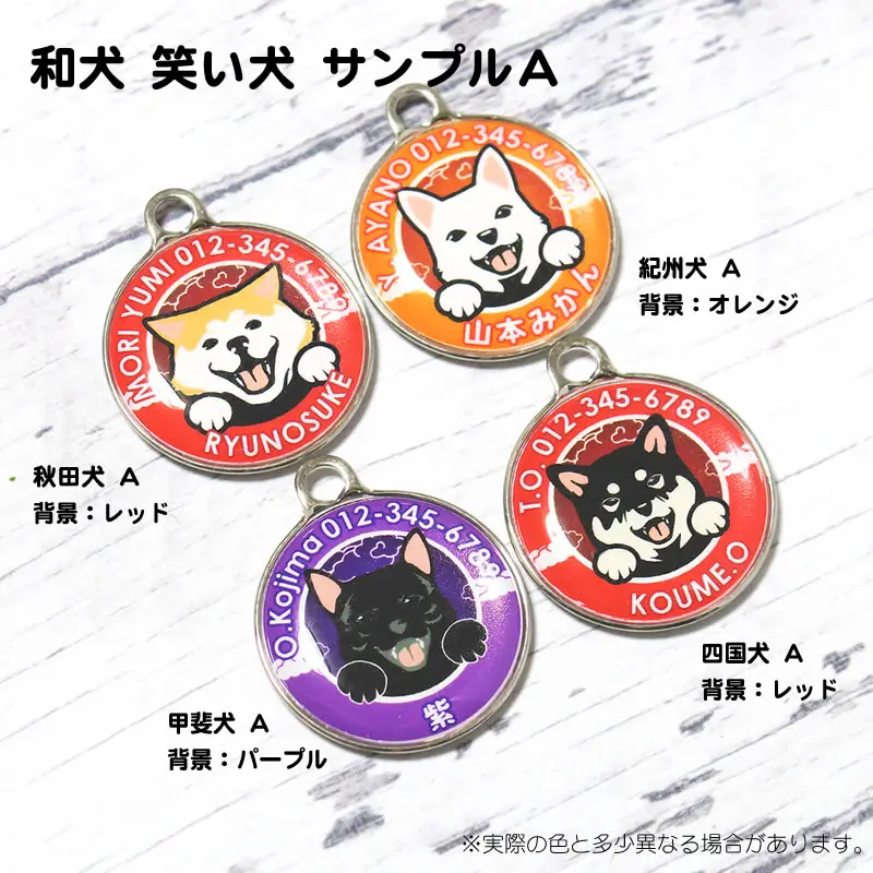 秋田犬 甲斐犬 紀州犬 四国犬