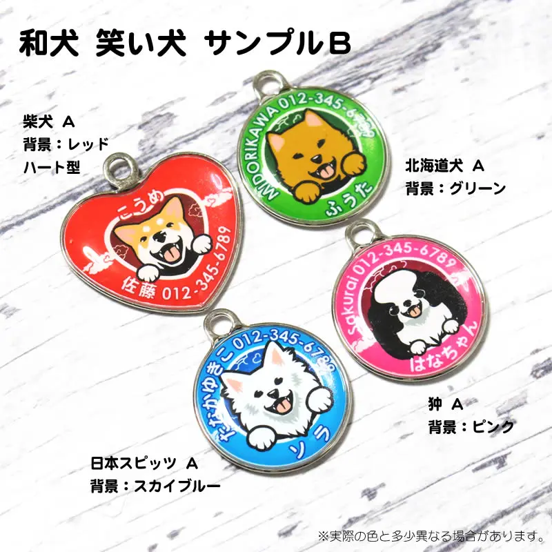 柴犬 北海道犬 狆 日本スピッツ