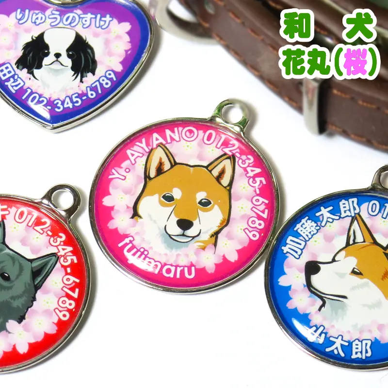 迷子札 和犬と花丸 桜