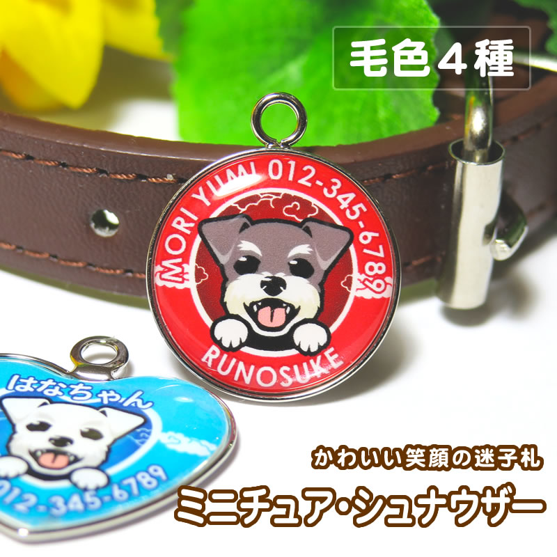 迷子札 笑い犬（ミニチュアシュナウザー）