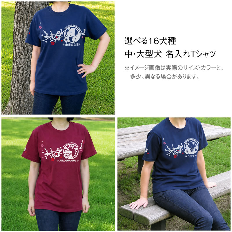 お名前Ｔシャツ 梅枝（中・大型犬）