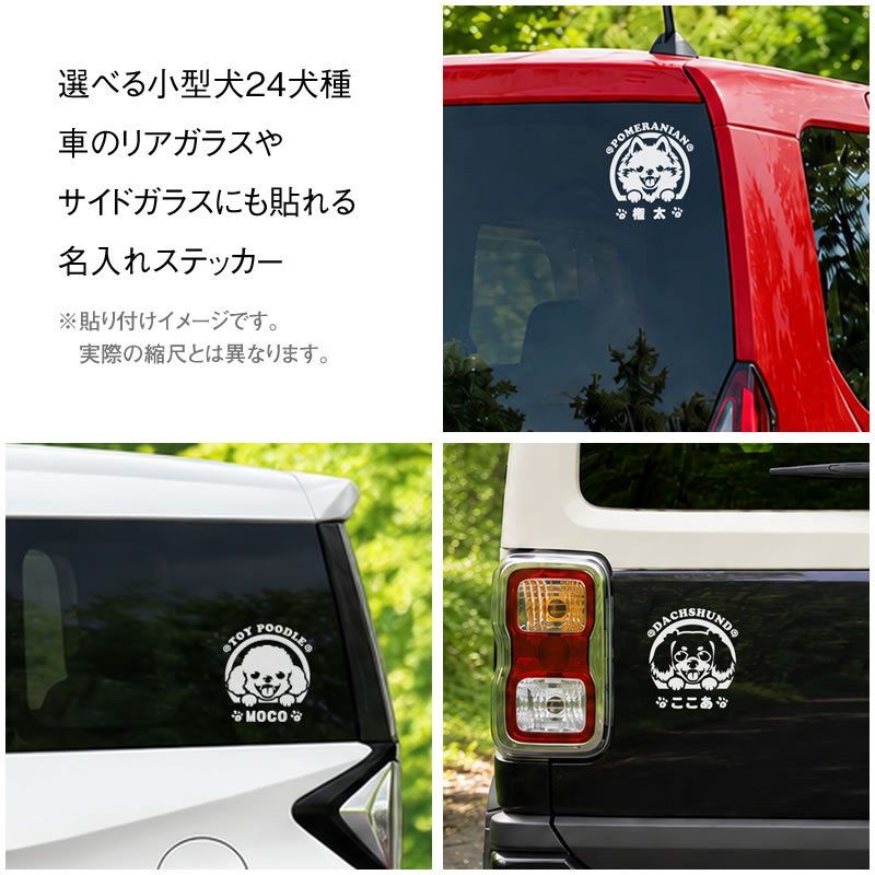 車に貼ったトイプードル柄ステッカー