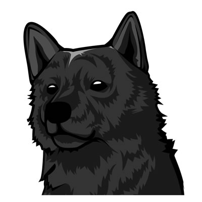 甲斐犬イラスト