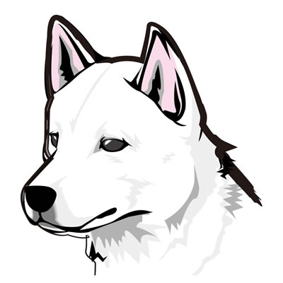 秋田犬イラスト