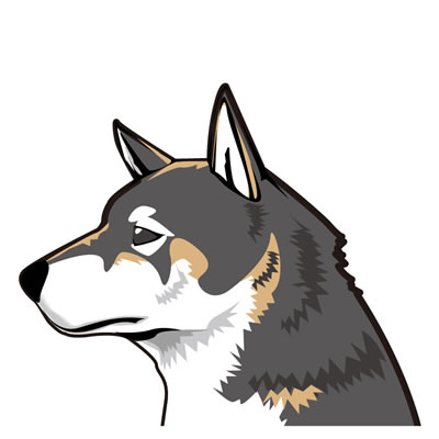 四国犬イラスト